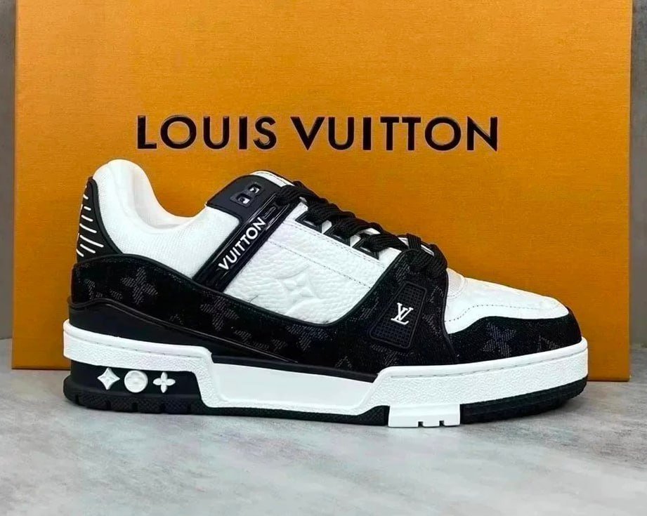 Louis vuitton skate sneakers LV Trainer Shoes                                 -5
