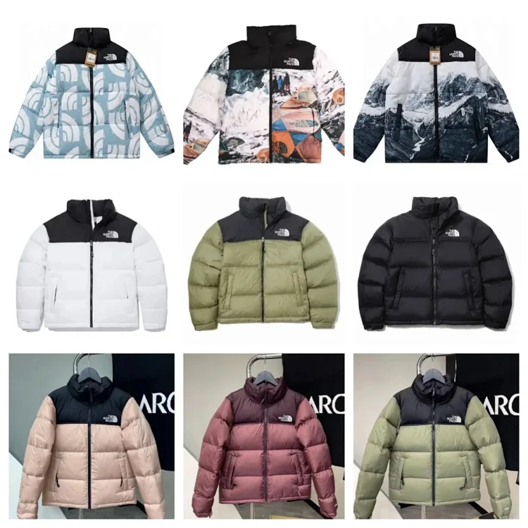 The North face Down Jackets   