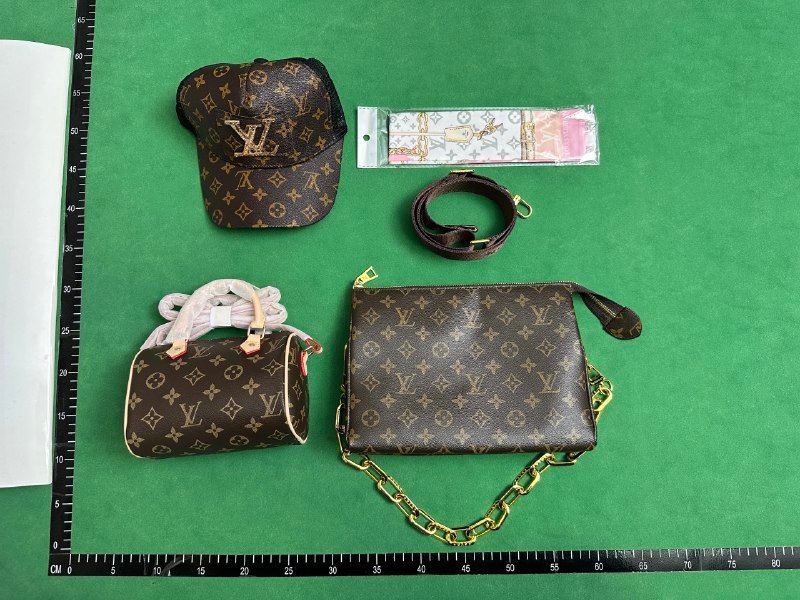 DIOR/LV bag -3