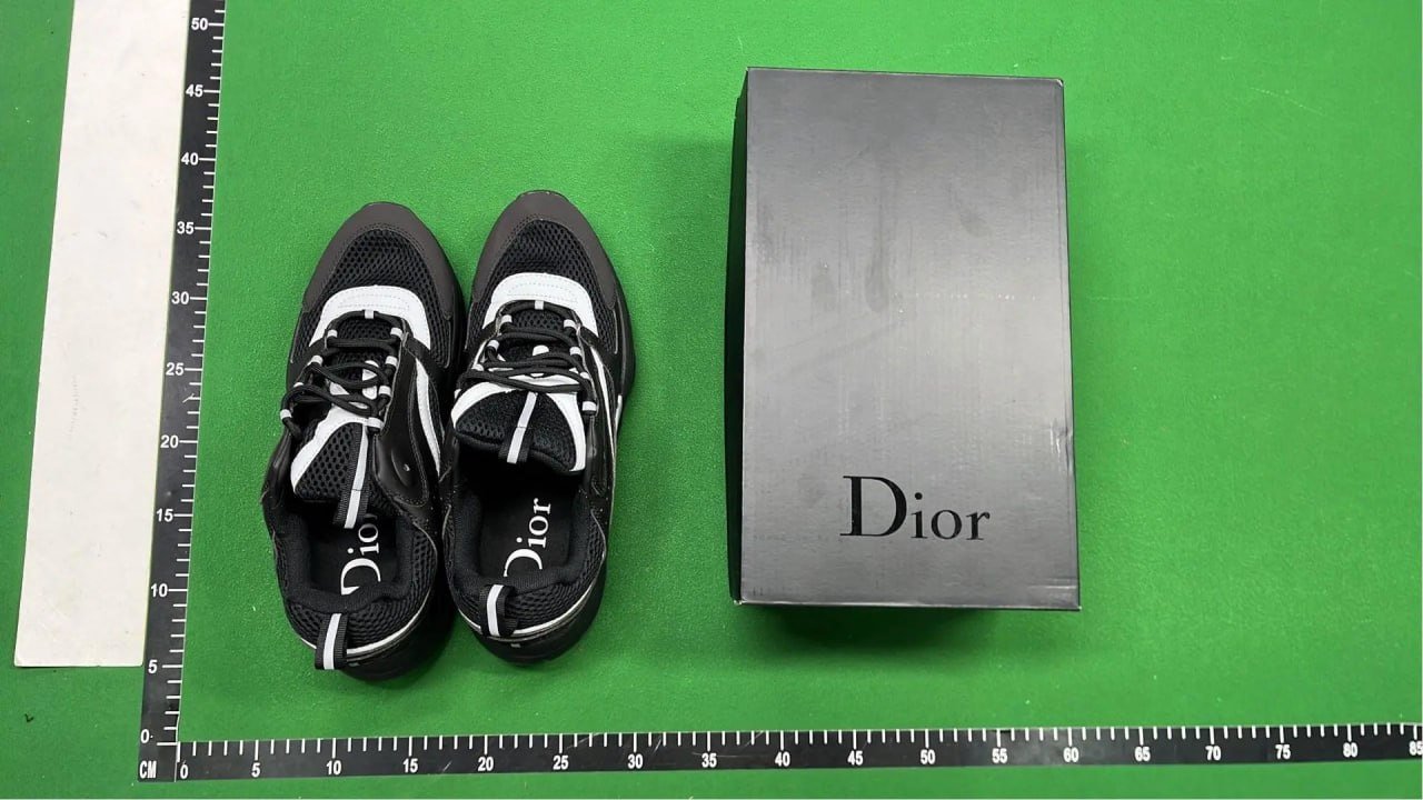 Dior B22 Shoes -3