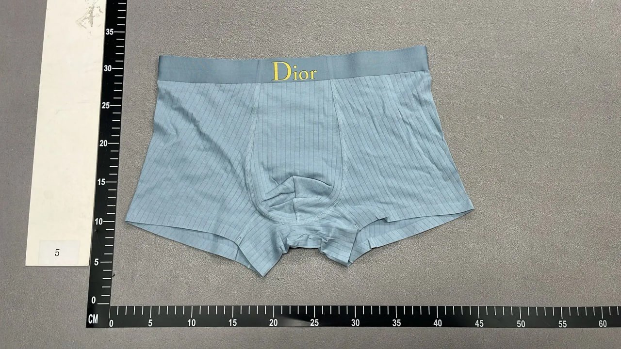Dior Underwear -2