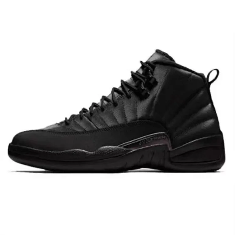 Air Jordan 12