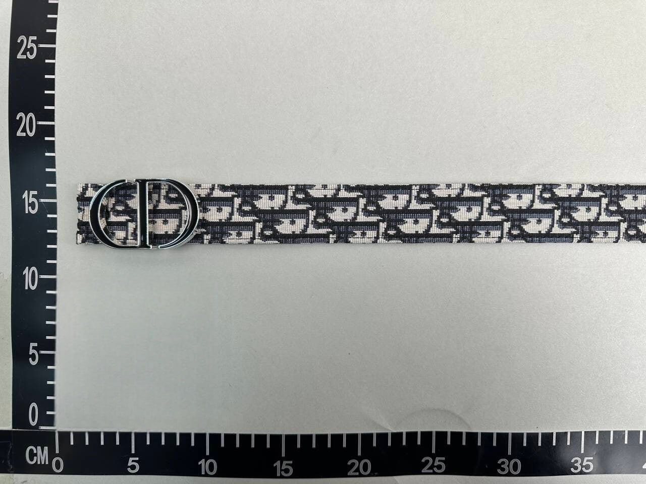 Dior Belt  -3