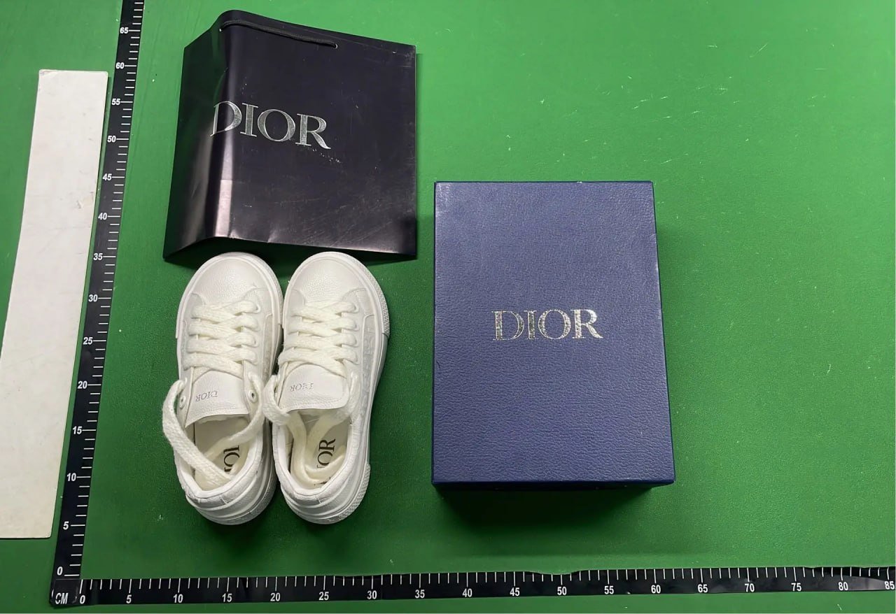 Dior B33 Shoe -4