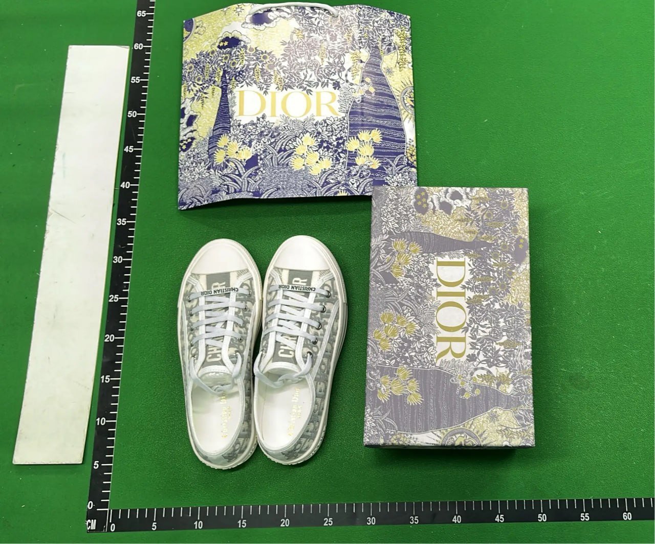 Dior shoes -5