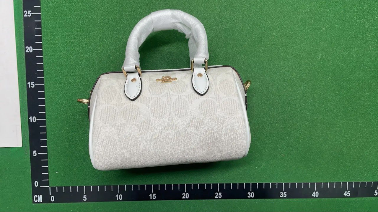 Coach Bag -2