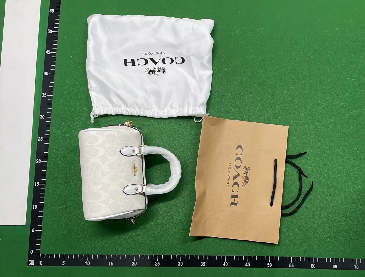 Coach Bag -4