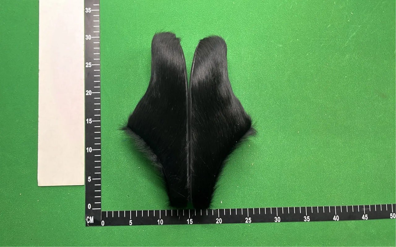 Marni Slides -3