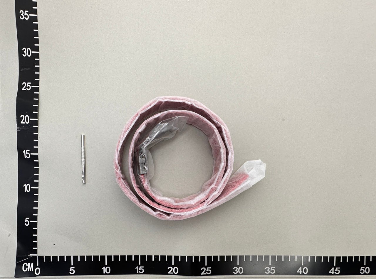 Gucci Belt -5
