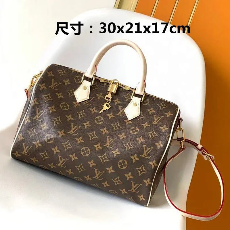 Louis Vuitton Bags -4