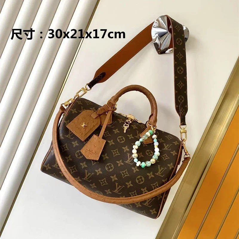 Louis Vuitton Bags -5