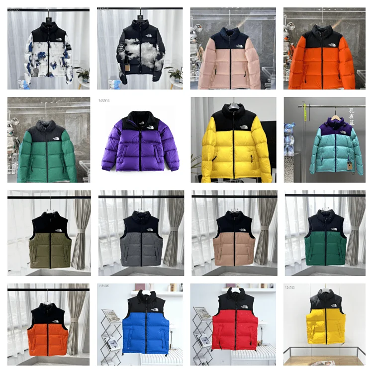 the north face down jacket