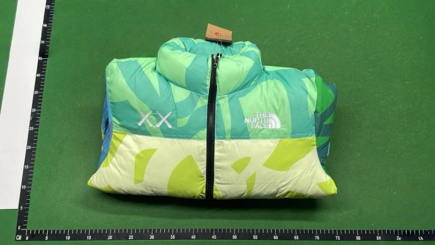 the north face down jacket -5