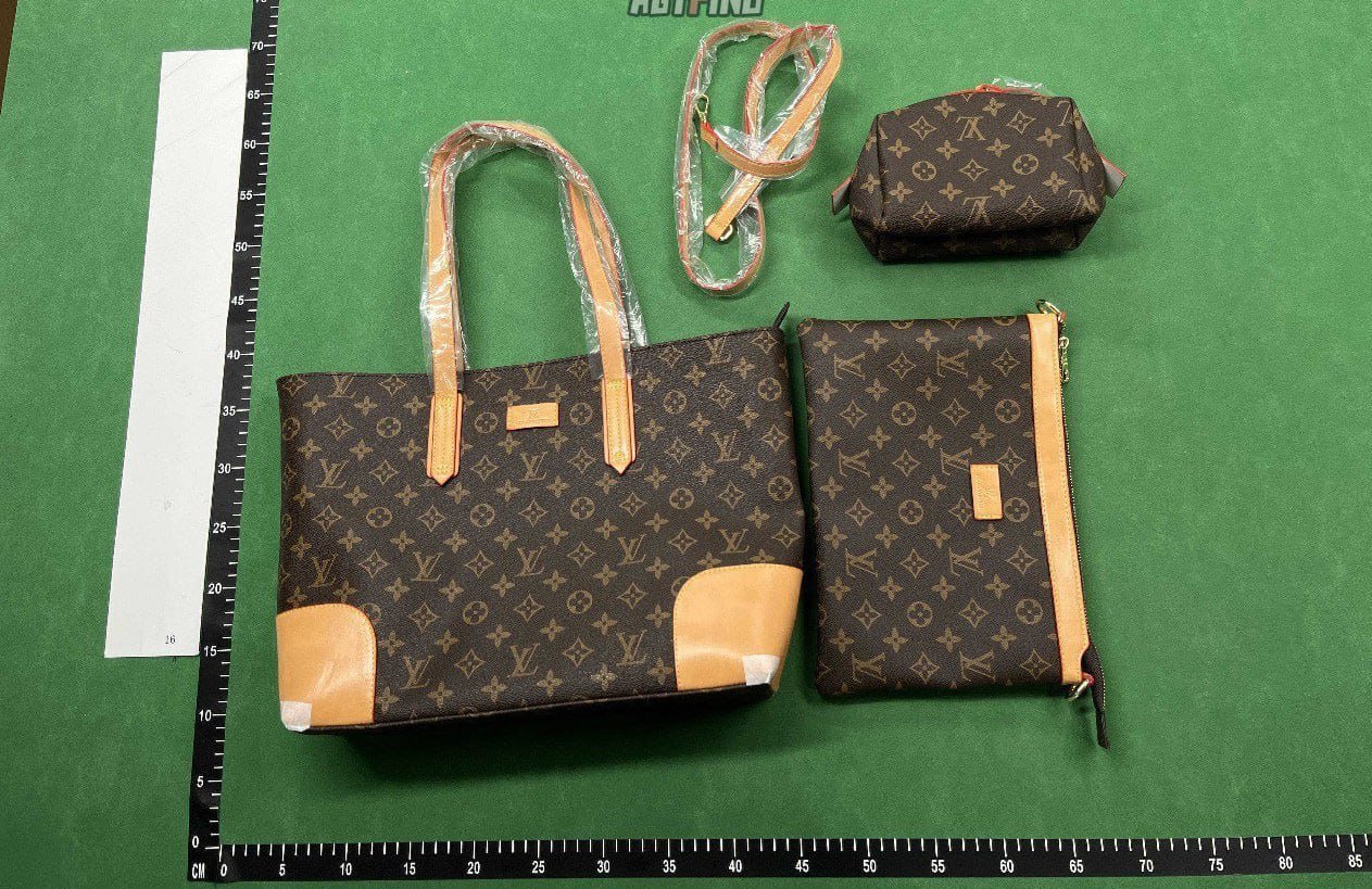 Louis VuittonLVDior bags -2
