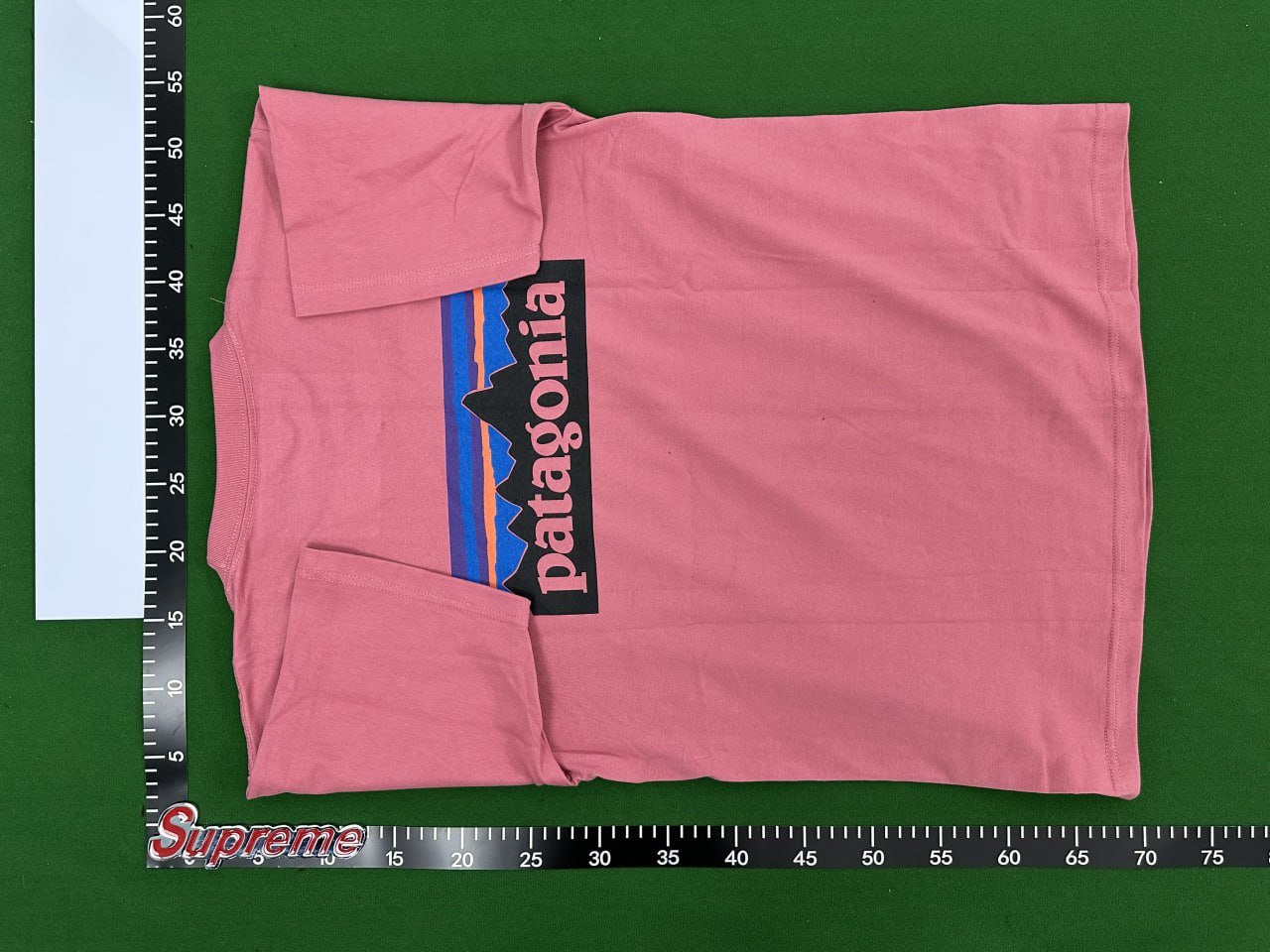 patagonia tee -3