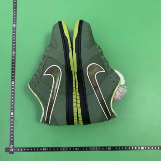 CONCEPTS x Nike Dunk SB  -2