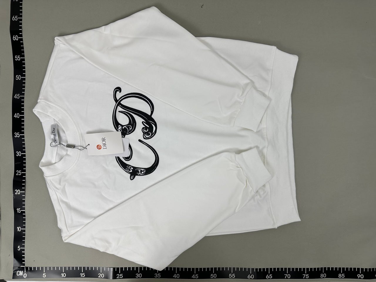 Dior Hoodie -2