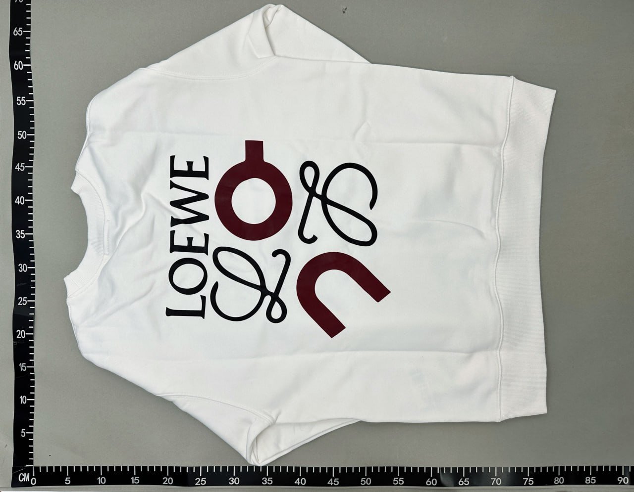 Loewe Hoodie -3