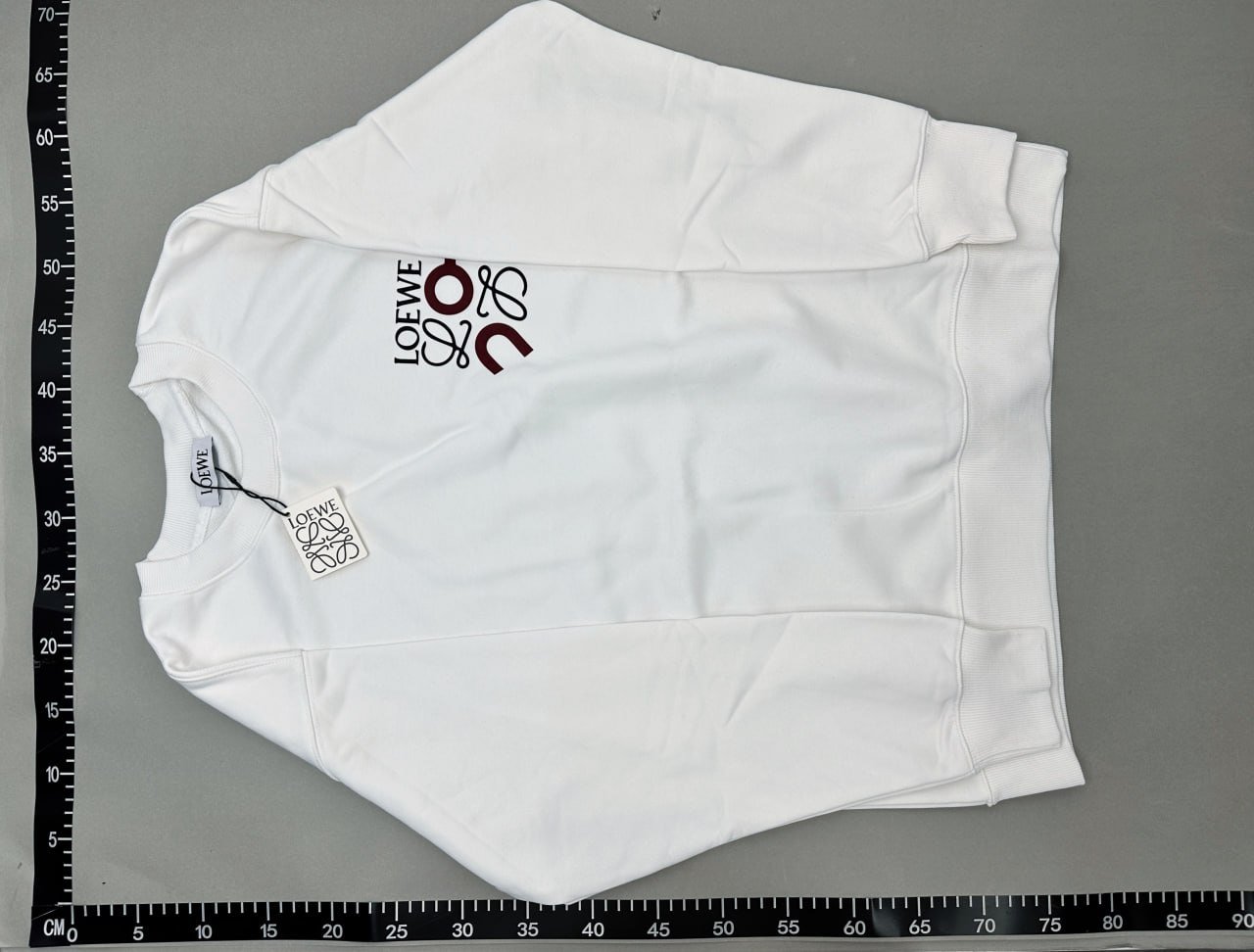 Loewe Hoodie -2