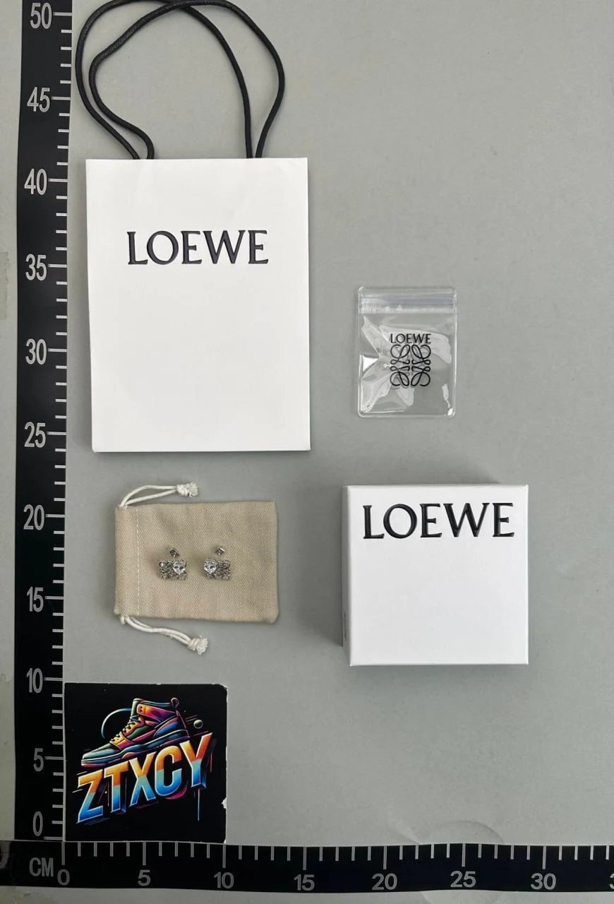 Loewe Earring                                 -5